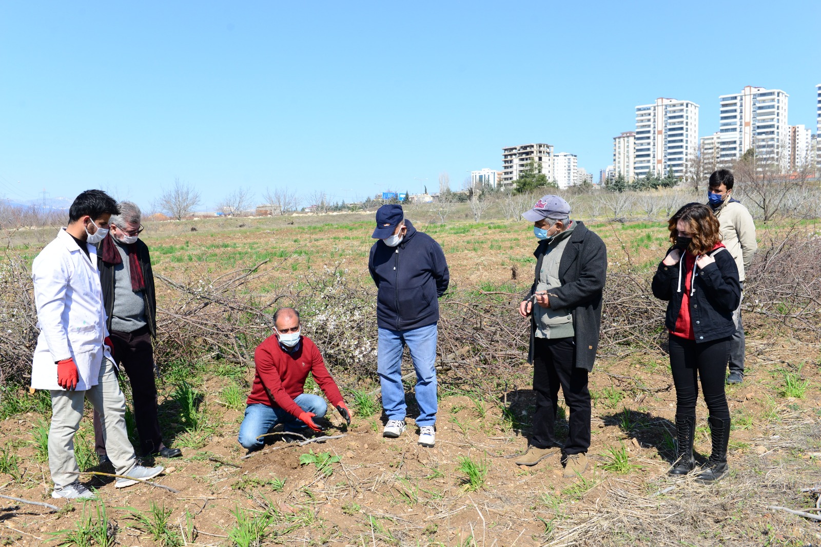 Üniversitemizde Eğitim Gören Geleceğin Ziraat Mühendisleri Budama ve Aşılamayı Uygulayarak Öğreniyor 