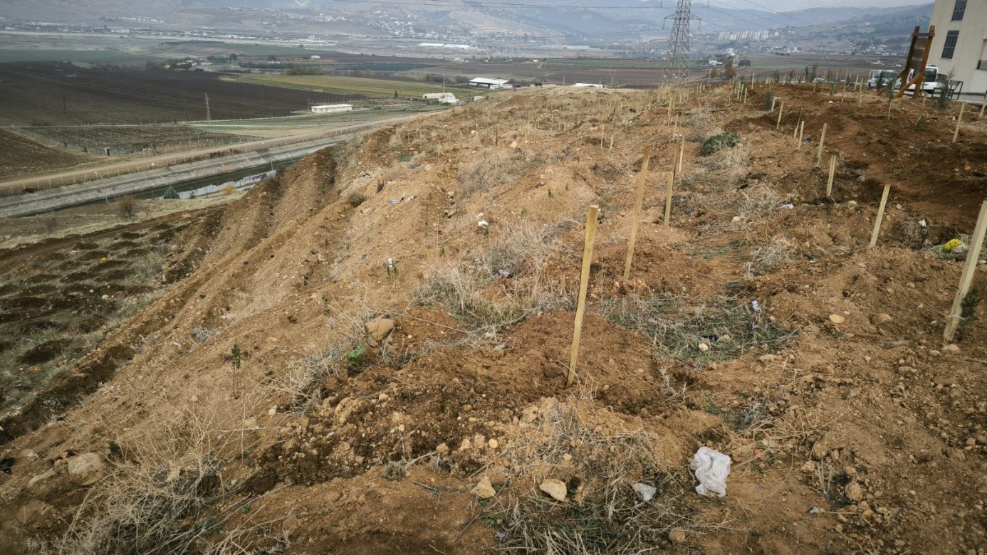 KSÜ Avşar Kampüsünde Orman Alanlarıyla İklim Dostu Kimliği Güçlendiren Yeni Proje Hayata Geçirildi